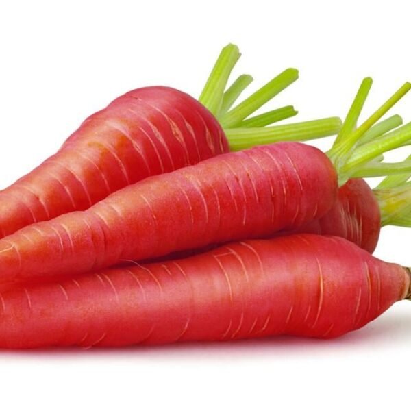 Carrot Red