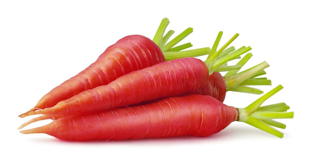 14440019-1705307442631.jpeg Carrot Red - Image 1