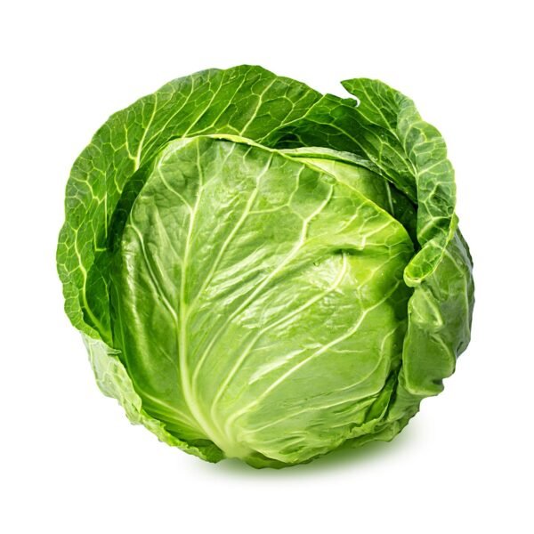 Organic Cabbage Green