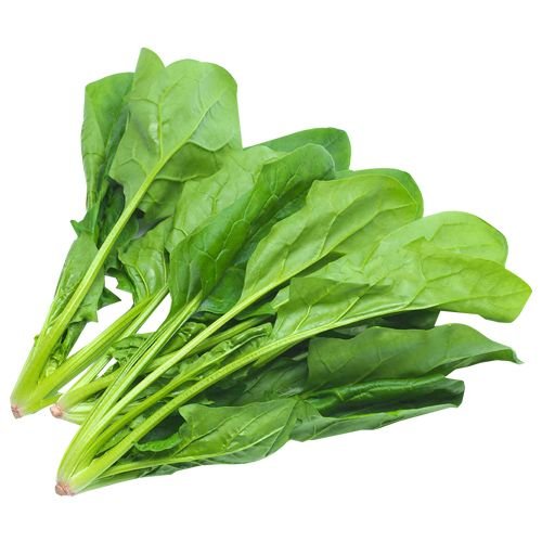 14440188-1705311484124.jpeg Organic Spinach - Image 1