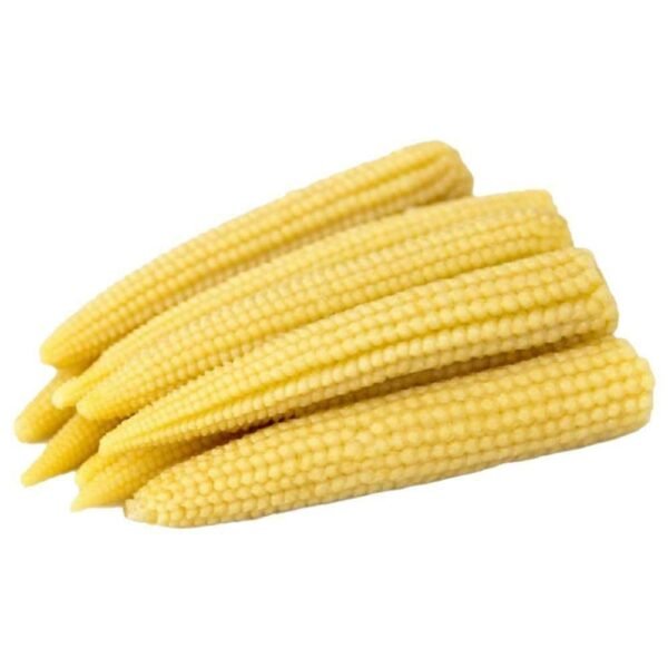 Organic Baby Corn