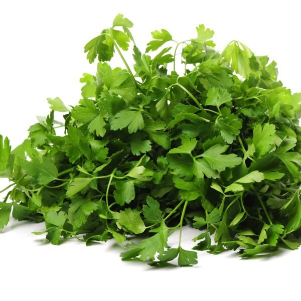 Organic Parsley