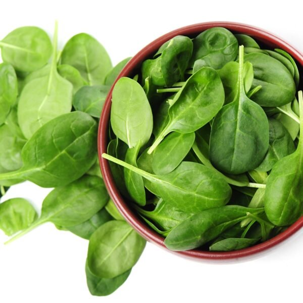 Organic Baby Spainach