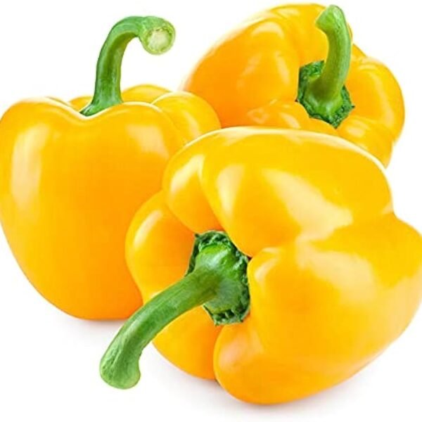 Organic Capsicum Yellow