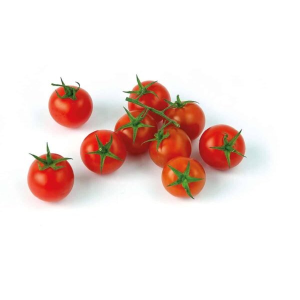 Organic Cherry Tomato Red