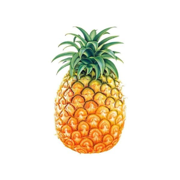 Organic Pineapple