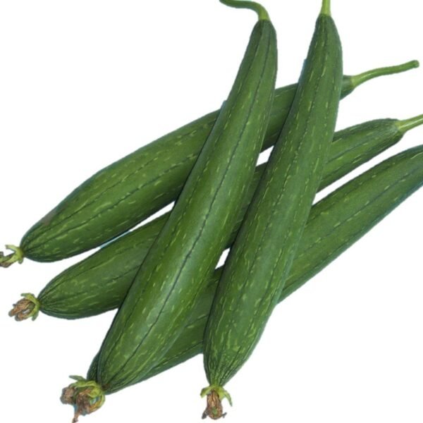 Organic Sponge Gourd