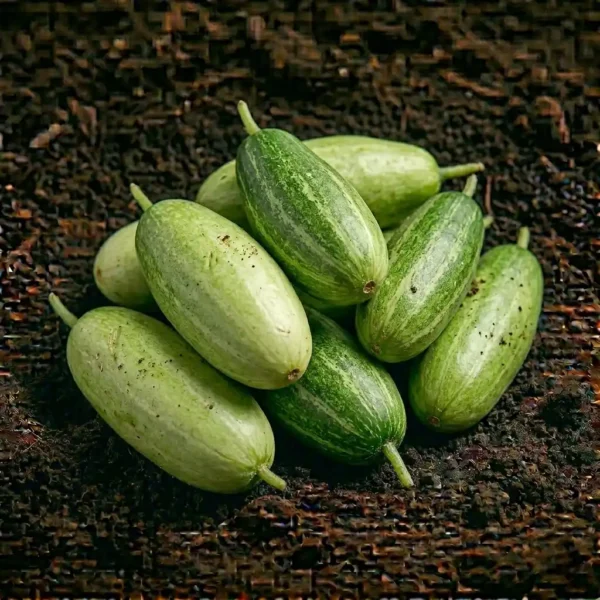 Organic Pointed Gourd