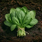 Organic Spinach