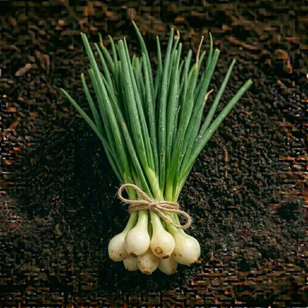Organic Spring Onion