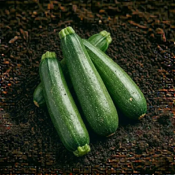 Organic Zucchini Green