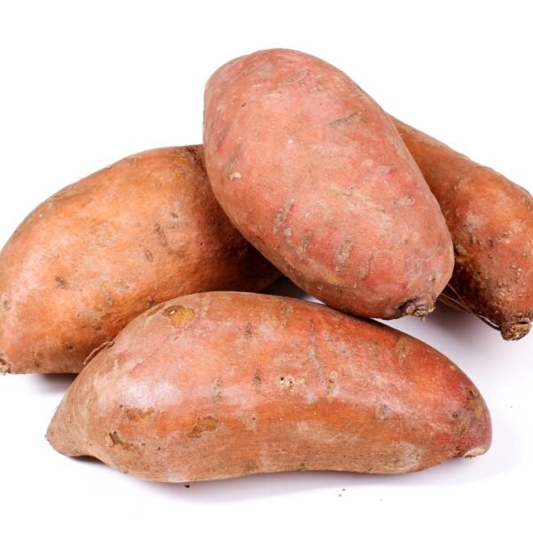 Sweet Potato