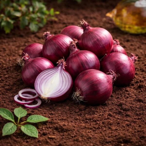 Organic Onion