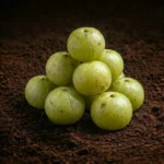 Amla