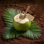 Organic Coconut Water