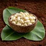 Organic Peeled Garlic