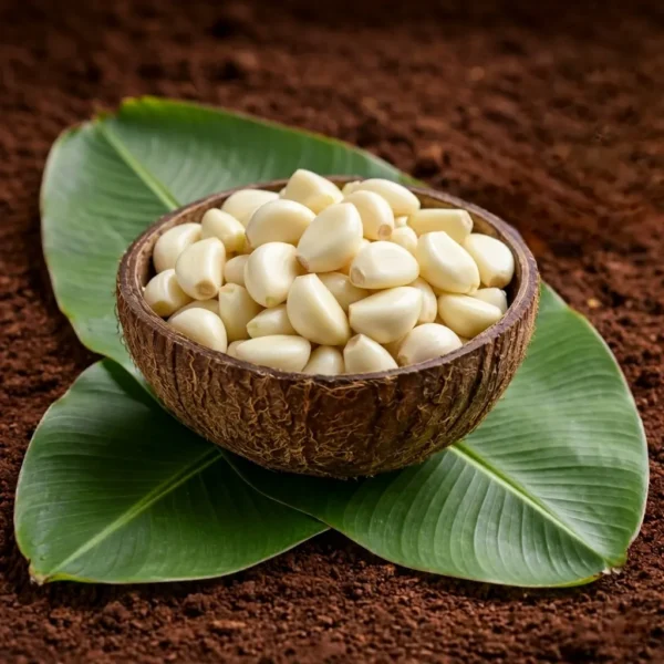 Organic Peeled Garlic