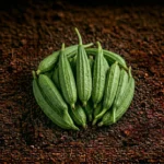 Organic Sponge Gourd