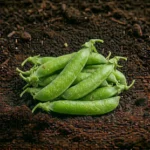 Organic Green Peas