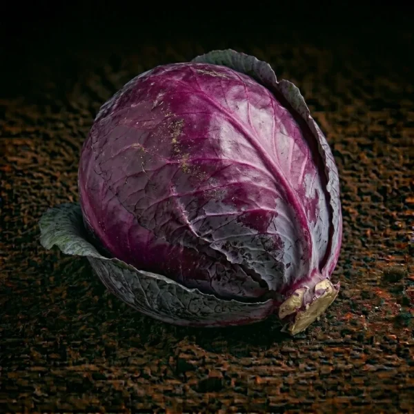 Organic Cabbage Red