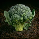 Organic Broccoli