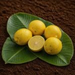 Organic Lemon
