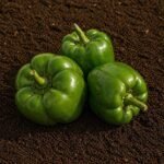 Organic Capsicum