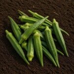 Organic ladyfinger