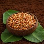 Organic Brown Chana Sprouts