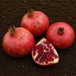 Organic Pomegranate