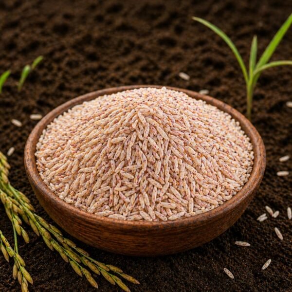 Organic Kalanamak Rice