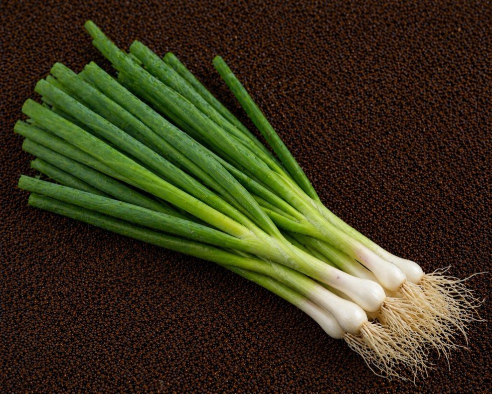 2483928 Organic Spring Onion - Image 1