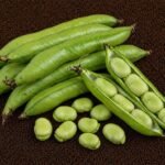 Organic Broad beans