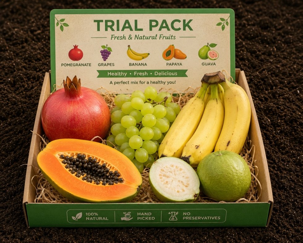 2492451 Sample Kit of Fruits - Image 1