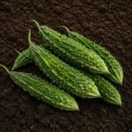Organic Bittergourd