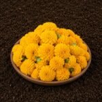 Yellow Marigold Flower