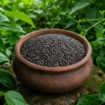 Organic Whole Masoor Dal