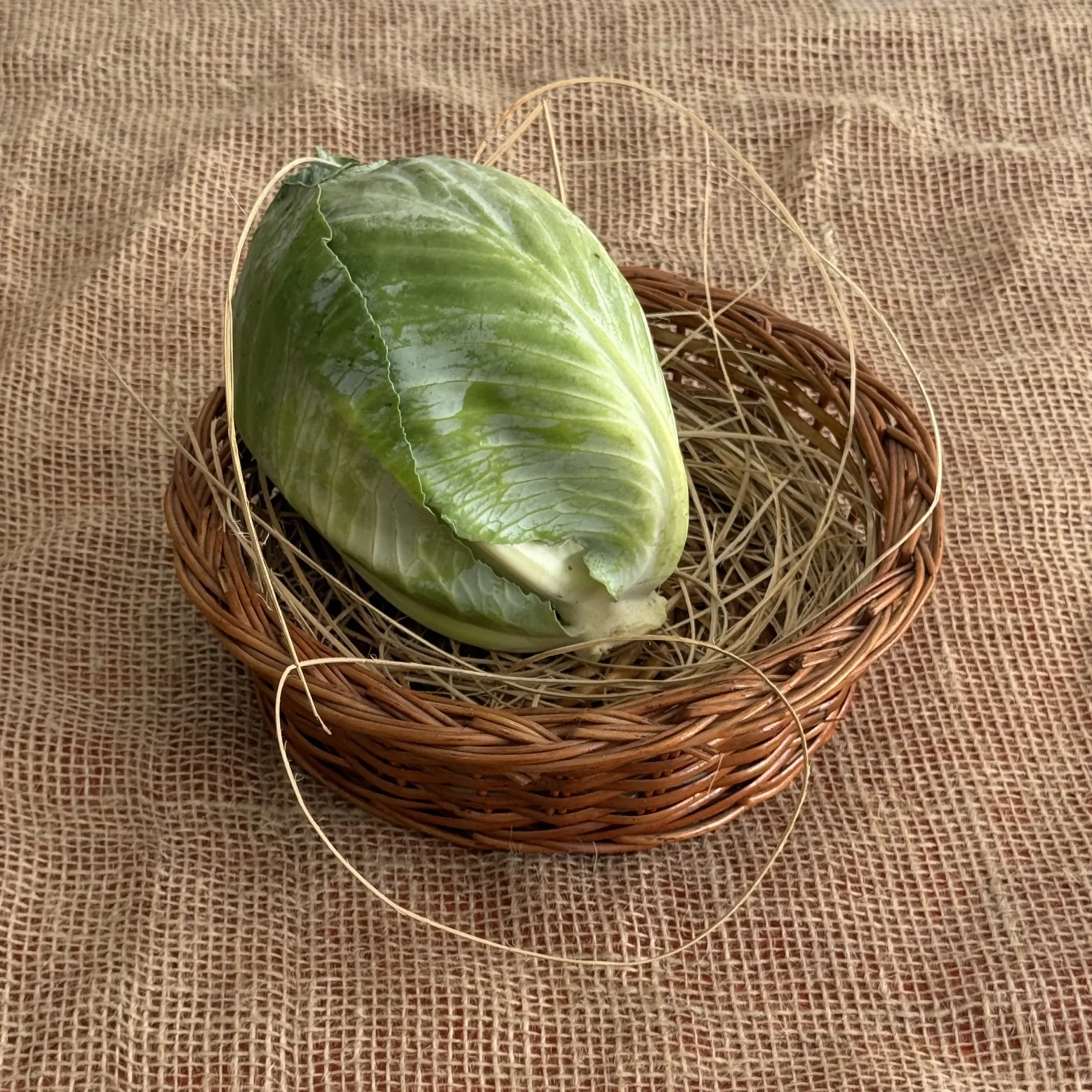 2899136 Organic Cabbage - Image 1