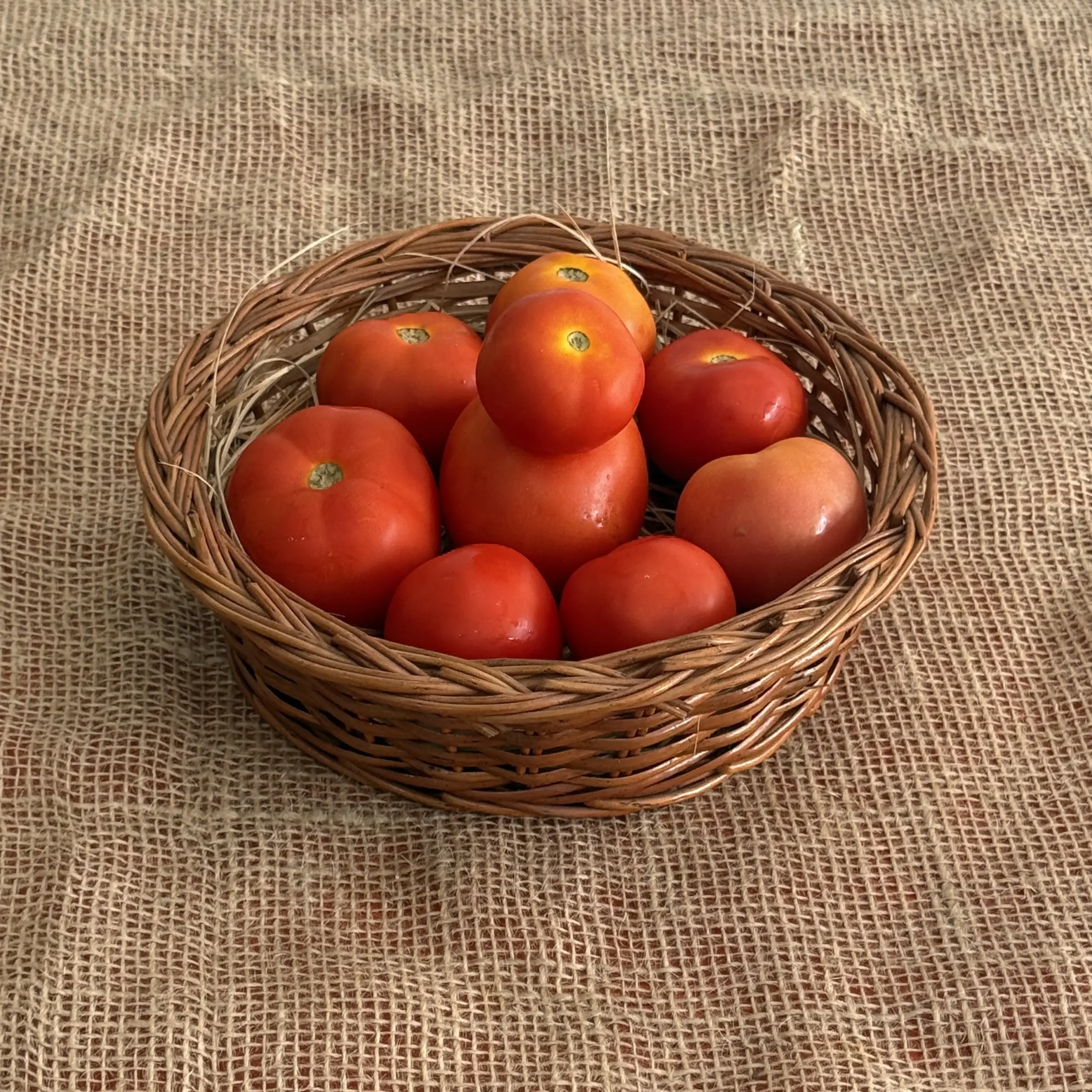 2900410 Organic Tomato desi - Image 1