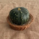 Organic Pumpkin