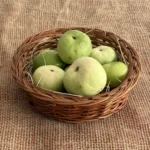 Organic Apple gourd (Tinda)