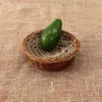 Organic Avocado