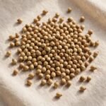 Coriander Seed